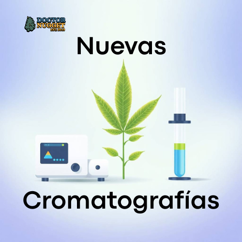 ¡Ya contamos con cromatografías!
